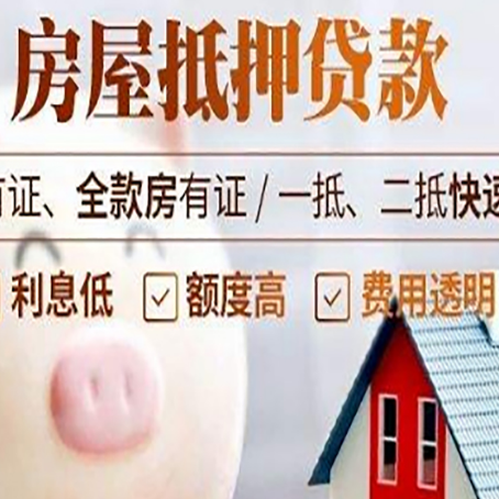 桂东贷款助贷公司新渝启服成立时间久